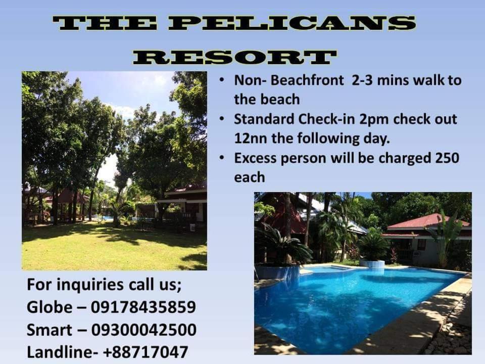 The Pelicans Resort Batangas Exterior foto
