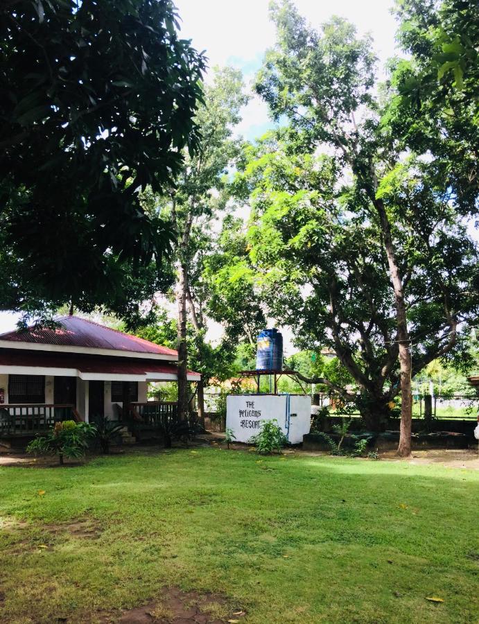 The Pelicans Resort Batangas Exterior foto